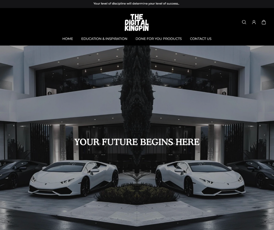 The Kingpin Shopify Theme with 10 DFY Products, Photos & Mockups included | MRR Master Resell Rights