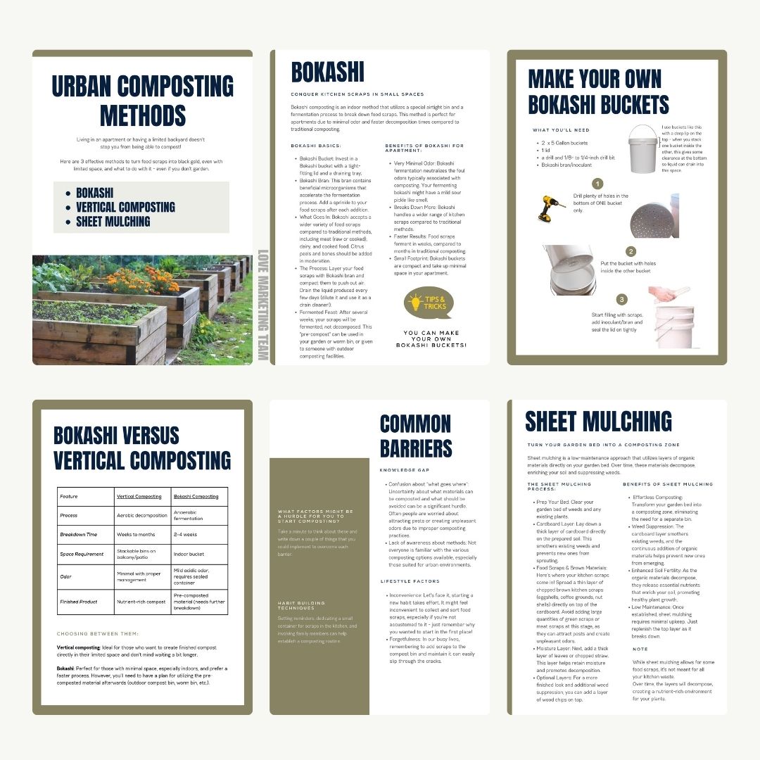 Urban Composting: A Beginners Guide