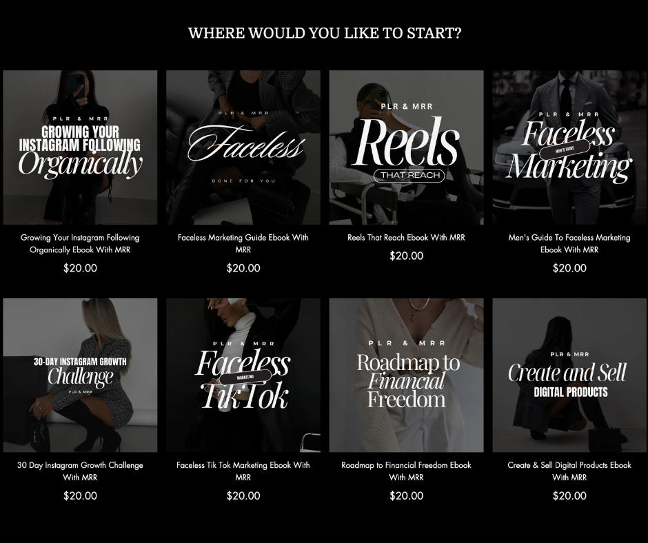 Her Faceless Empire Shopify Theme | MRR Master Resell Rights | Products included!