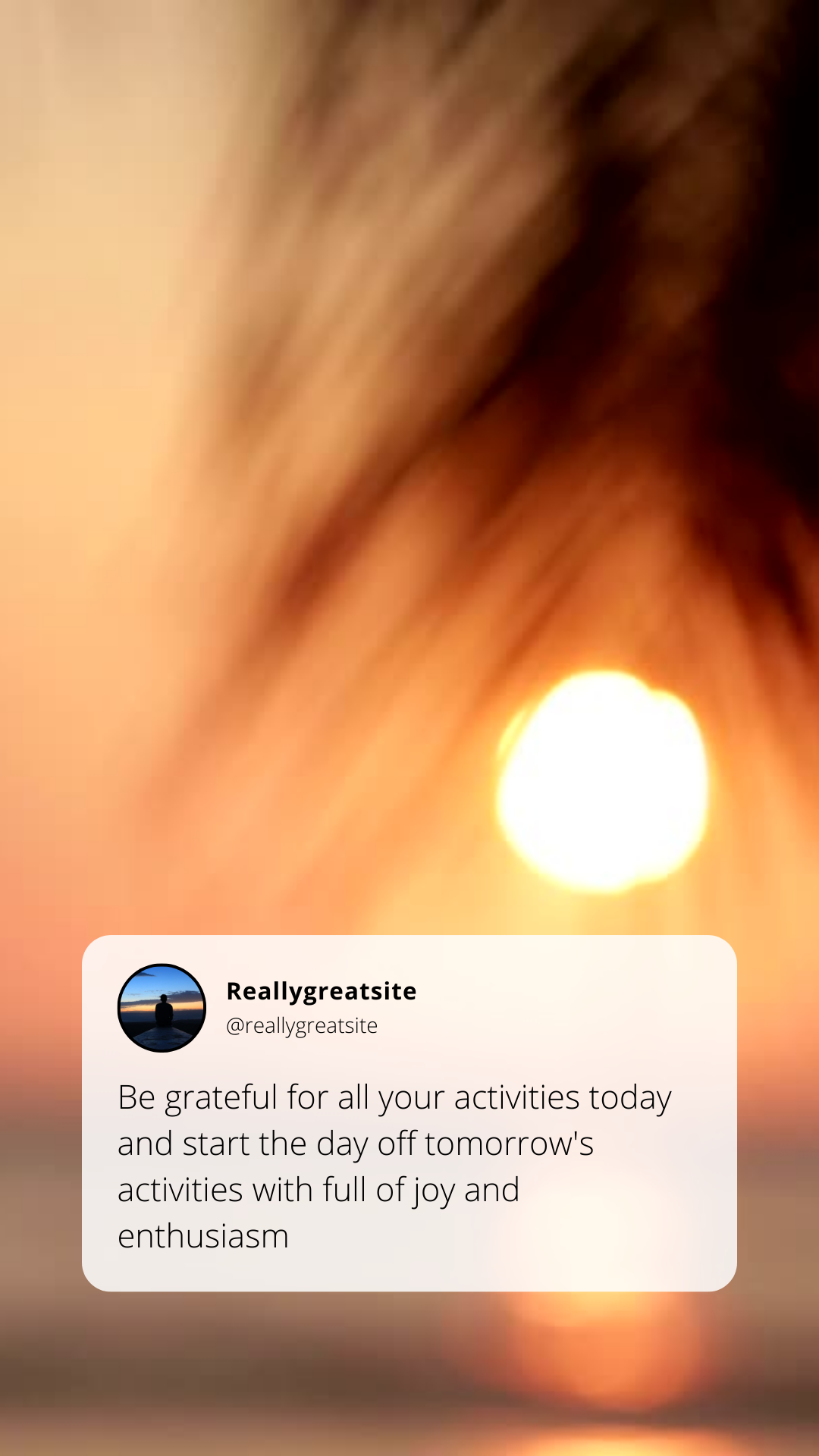 600 Video Reels + 5 Social Media Planners (134 pages)