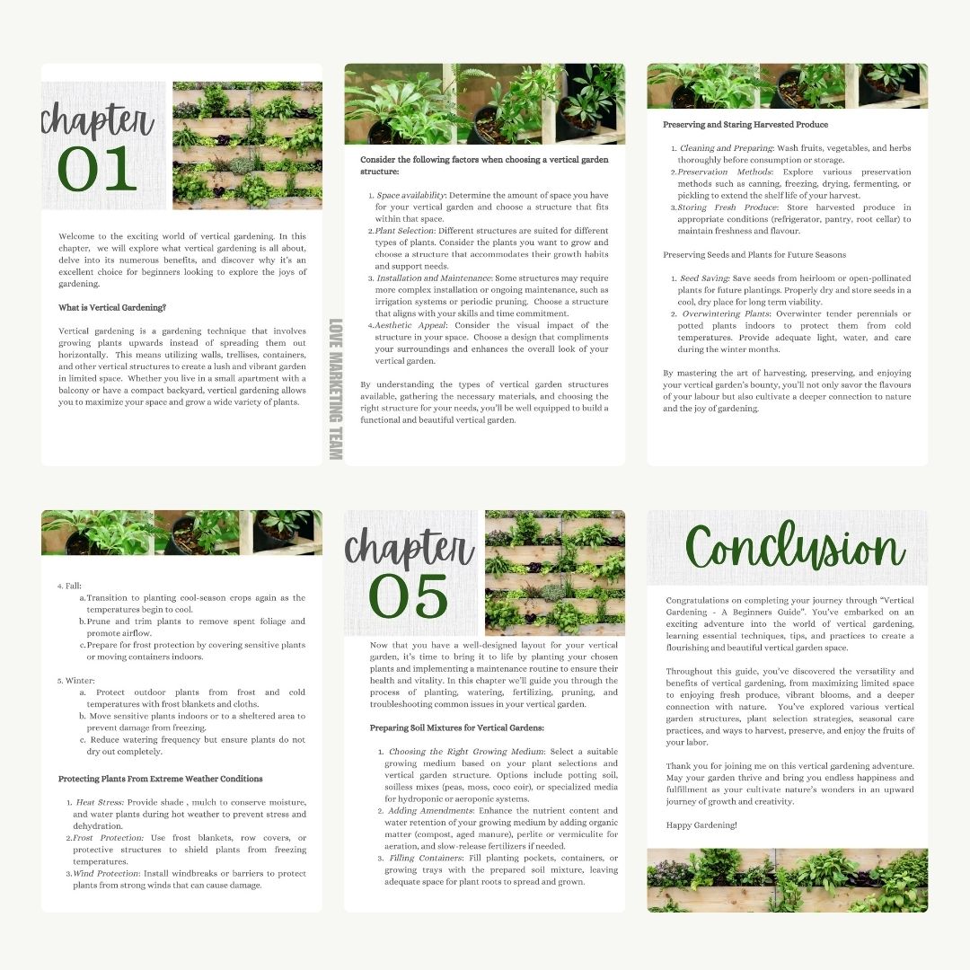 Vertical Gardening: A Beginners Guide