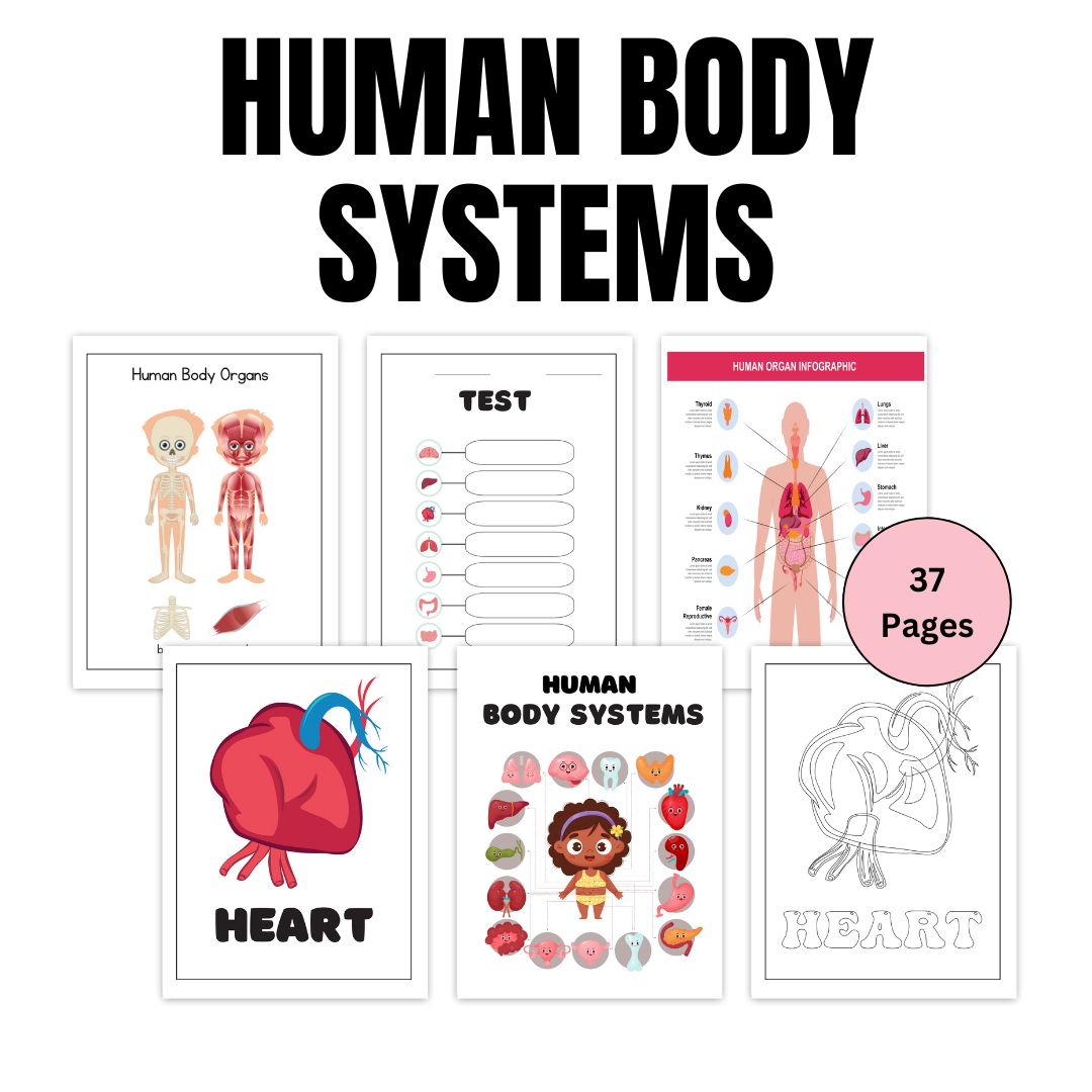 KIDS| HUMAN BODY SYSTEMS