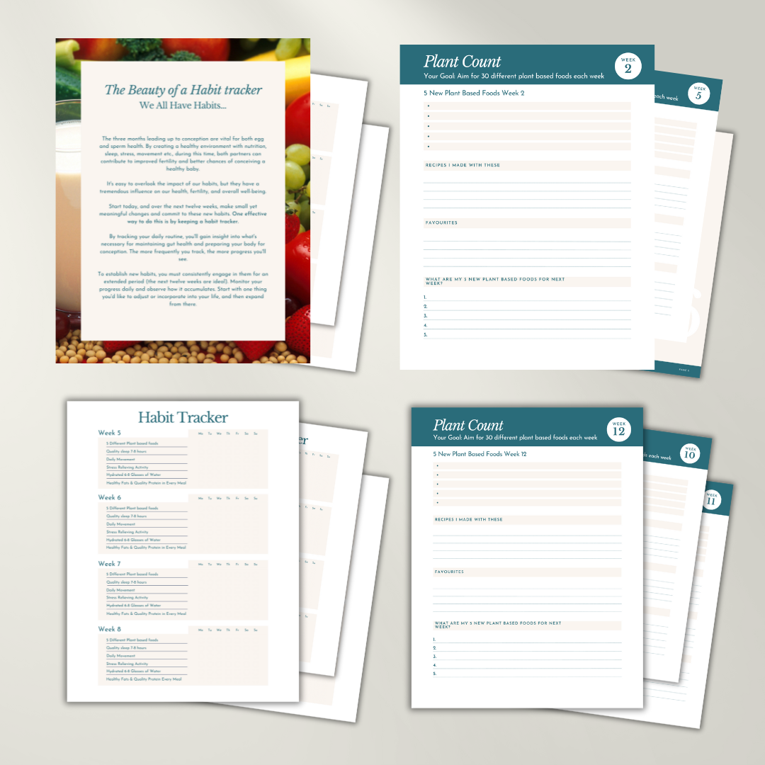 The 12 week Habit Tracker Guide| With a focus on Foods | Gut Health | Plant based