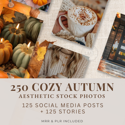 250 cozy autumn aesthetic  Stock Photos | MRR & PLR