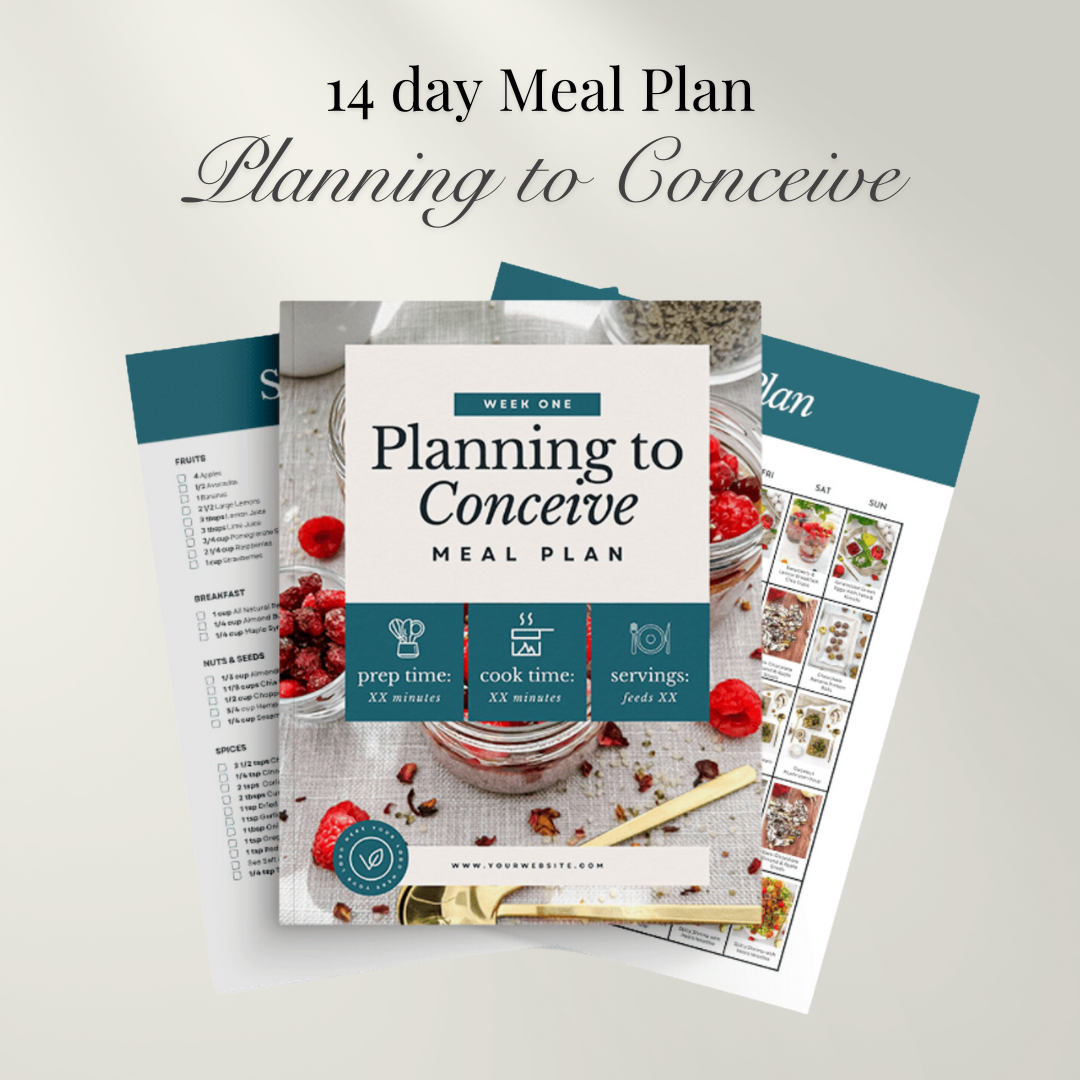 14 day Planning to Conceive Meal Plan | Health, Fitness and Wellbeing ...
