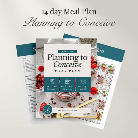 14 day Planning to Conceive Meal Plan | Health, Fitness and Wellbeing