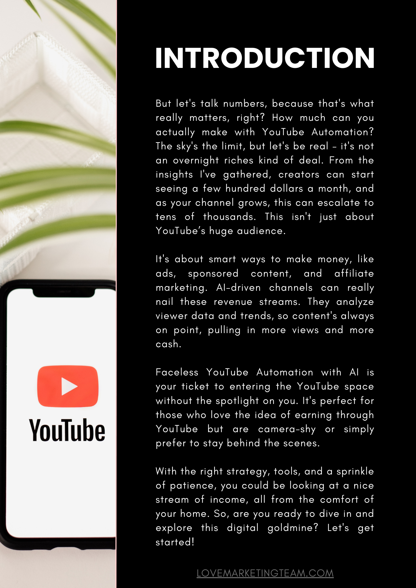 YouTube Faceless Success Guide (100 pages)