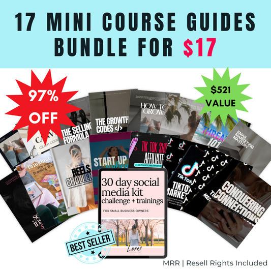 17 for ONLY $17 | Mini Course Guides | Build Your Biz Bundle | Only $17