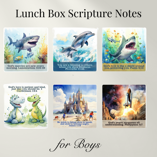 30 - 3x3 Lunch Box Scripture Notes | Boy Themed | Faith