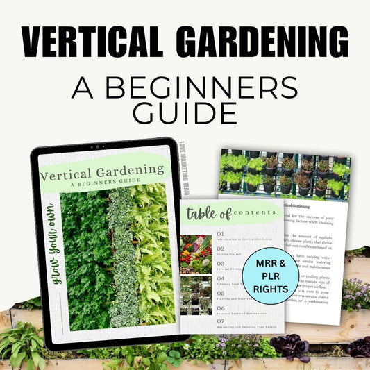 Vertical Gardening: A Beginners Guide