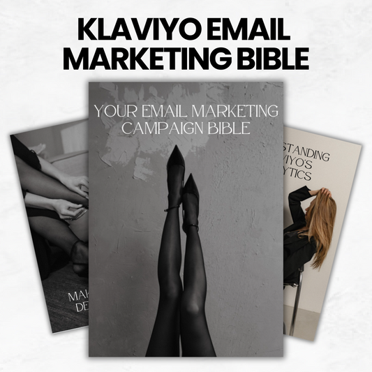 Klaviyo Email Marketing Campagne Bible