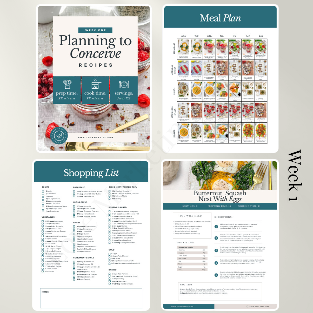 14 day Planning to Conceive Meal Plan | Health, Fitness and Wellbeing