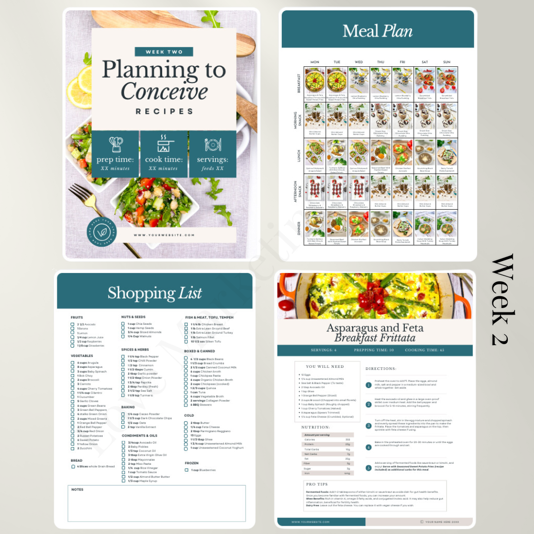 14 day Planning to Conceive Meal Plan | Health, Fitness and Wellbeing