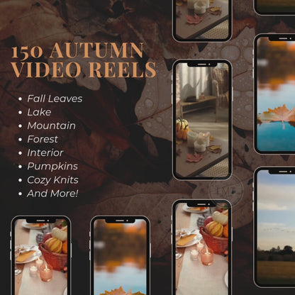 Autumn Aesthetic Bundle | MRR & PLR